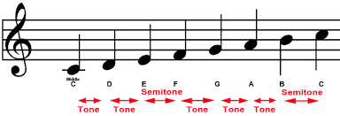 Ukulele Capos |Learn the Ukulele | 21 Ukulele Songs