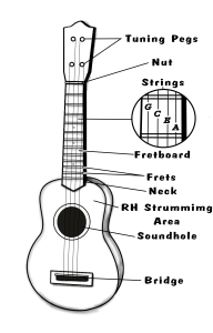 Parts of the Ukulele